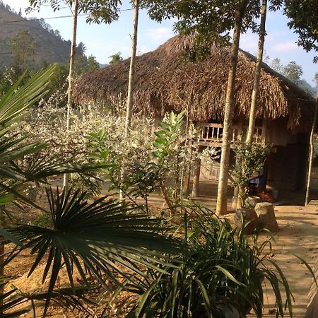 Apartamento Sa House Bac Ha Exterior foto