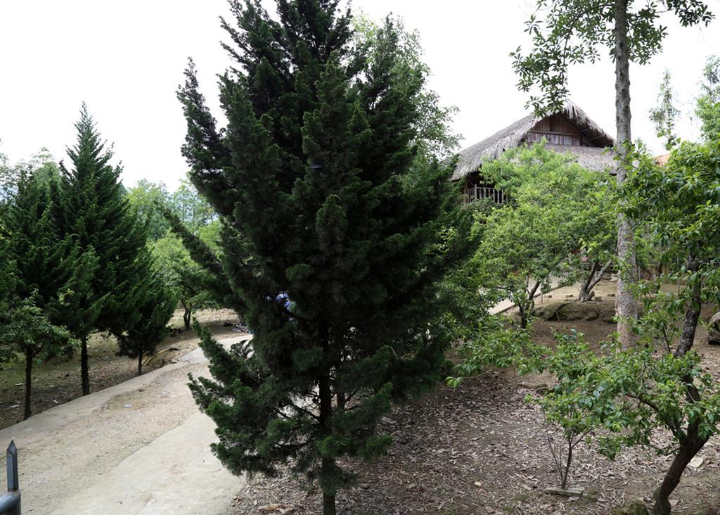 Apartamento Sa House Bac Ha Exterior foto