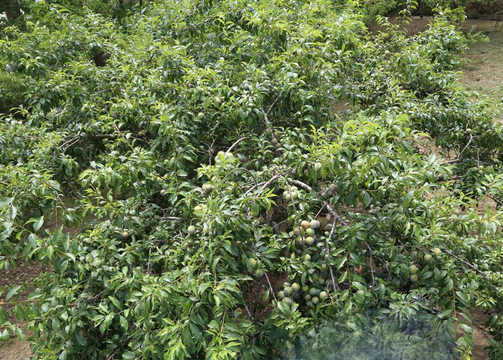 Apartamento Sa House Bac Ha Exterior foto
