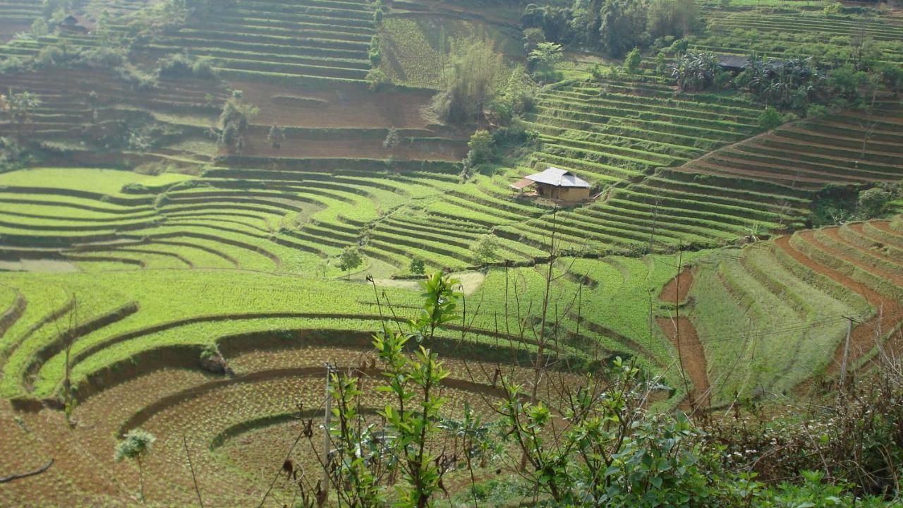 Apartamento Sa House Bac Ha Exterior foto