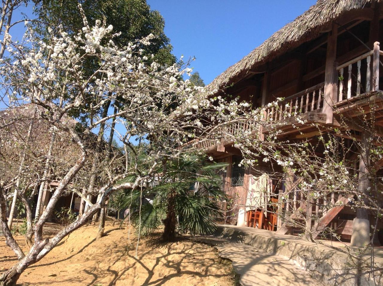 Apartamento Sa House Bac Ha Exterior foto
