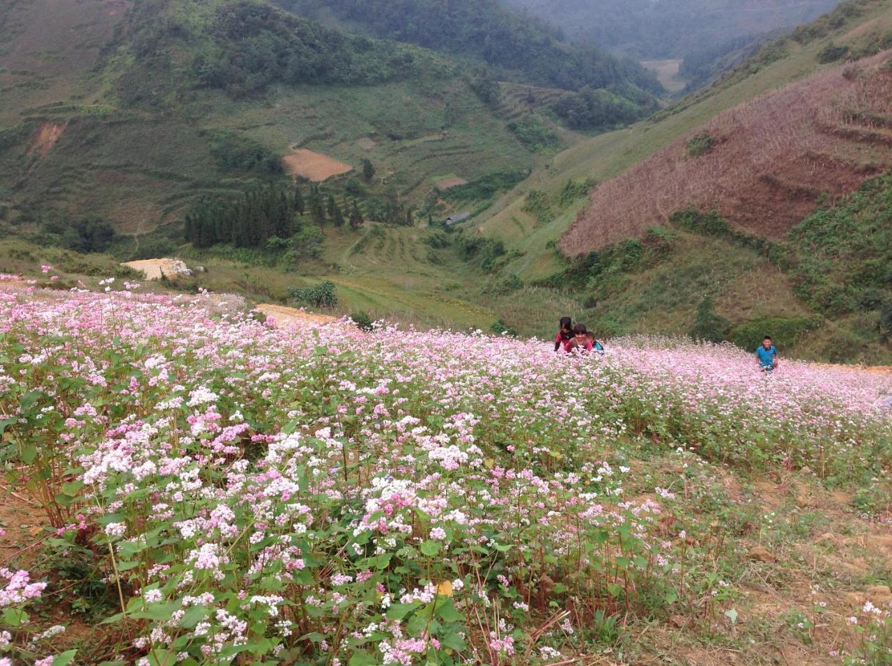 Apartamento Sa House Bac Ha Exterior foto