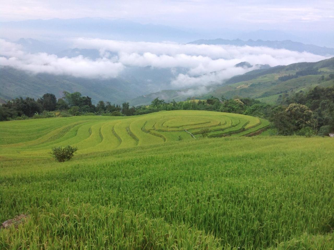Apartamento Sa House Bac Ha Exterior foto