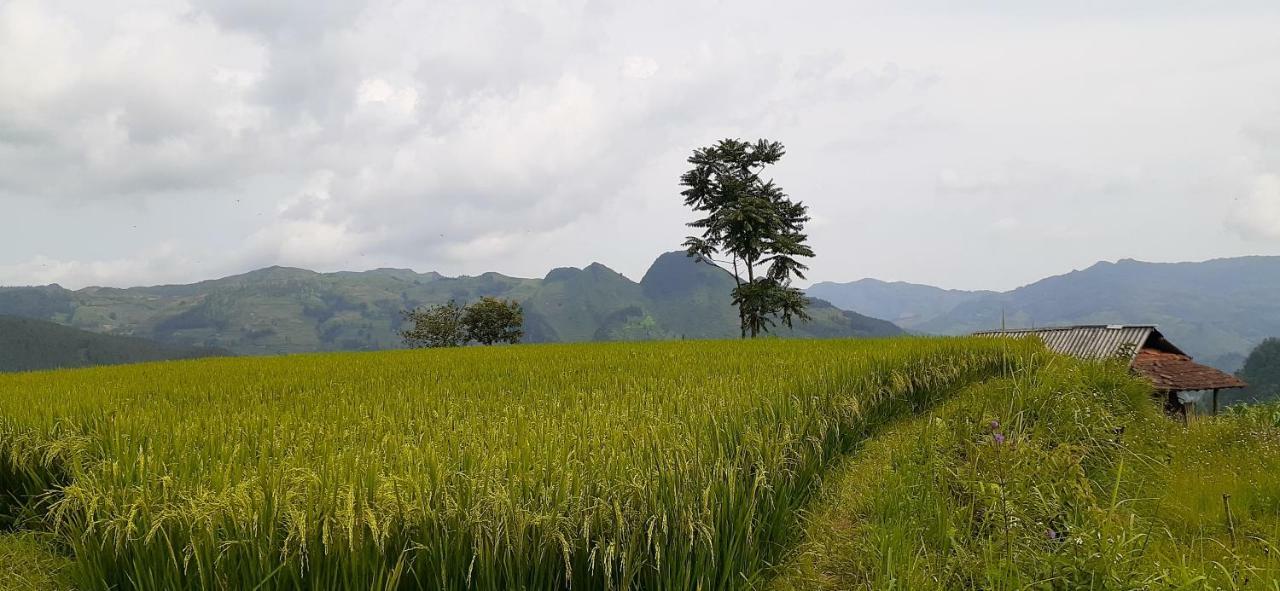 Apartamento Sa House Bac Ha Exterior foto